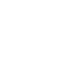 Domestic Courier